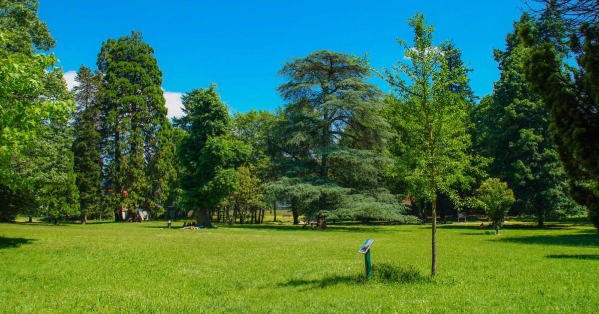 Photo du par haute claire