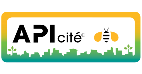 Logo Apicité