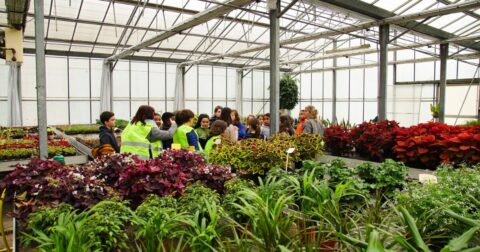 Photo des serres municipales lors d'une visite avec des enfants