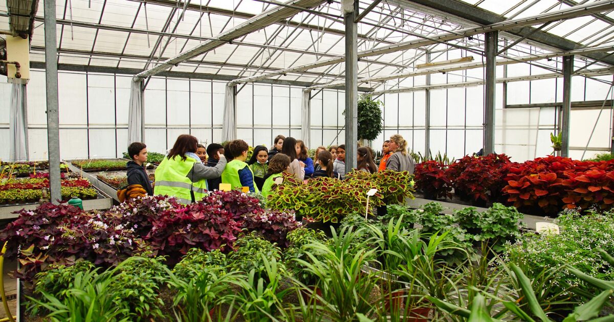 Photo des serres municipales lors d'une visite avec des enfants