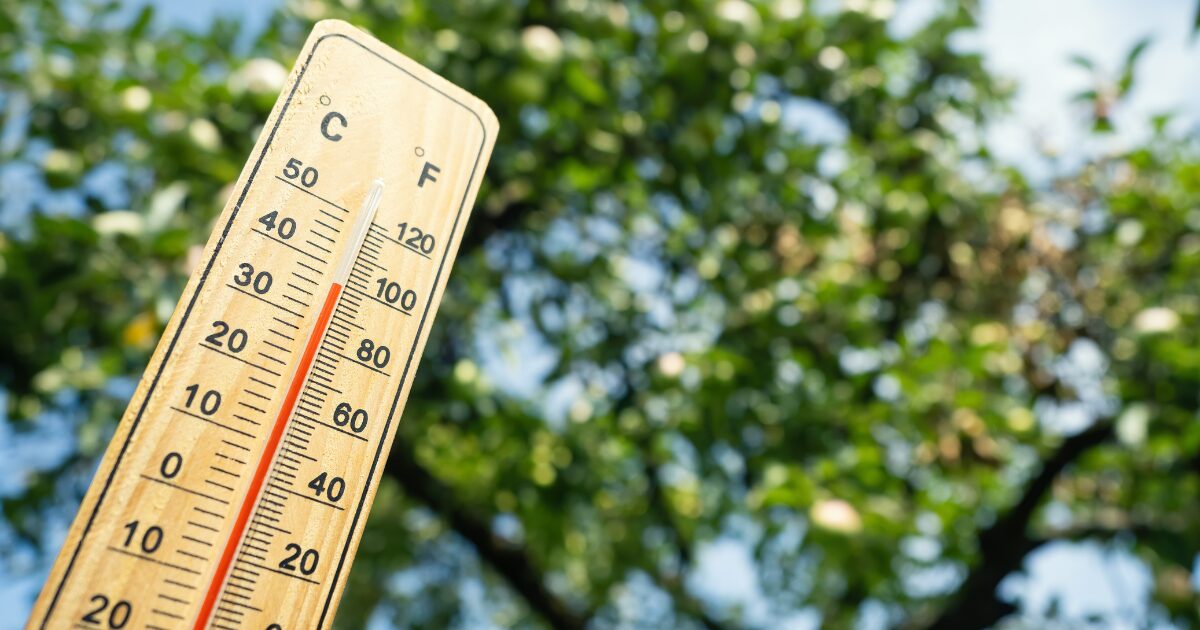 Photo décorative d'un thermostat frôlant les 50 degré farenheit