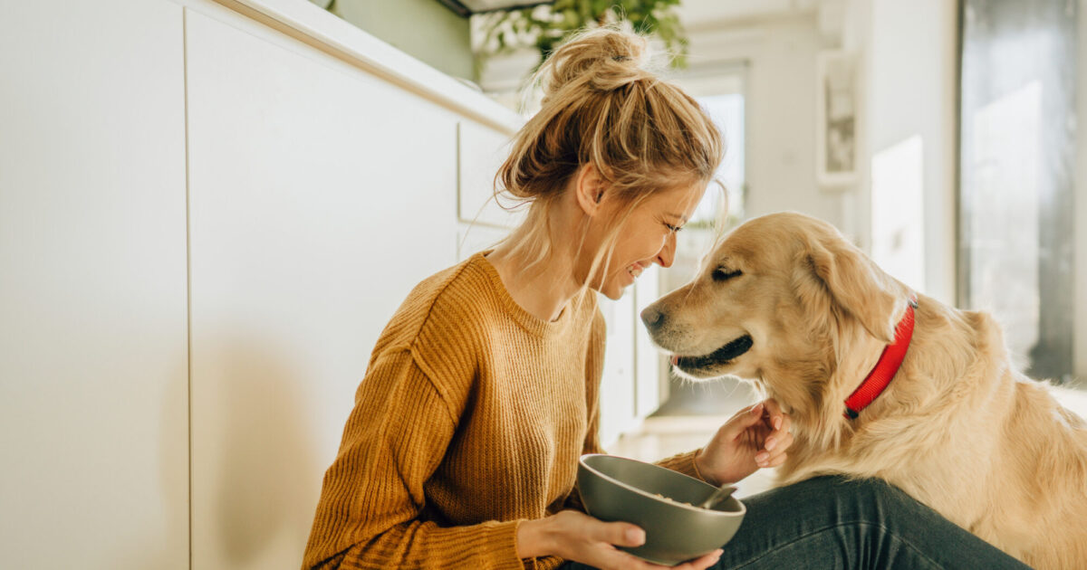 Photo décorative d'un chien et de sa maîtresse